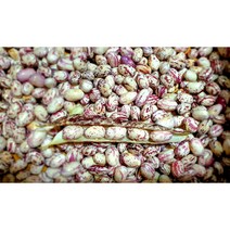 (가락시장까망콩)포근 포근 국내산 햇 껍질 호랑이콩 4kg 내외