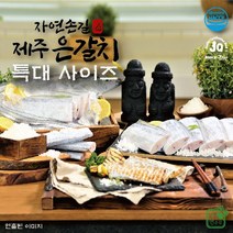 기타 [자연손길] 제주 은갈치 특대 300g8팩, 1