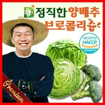 정직한건강즙 정직한 양배추브로콜리즙 국내산, 30포, 110ml