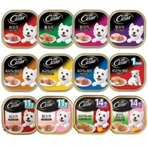 [에이치플러스몰] 강아지 습식사료 시저 캔 100g(24개), 종류:닭고기현미야채 14세, 100g