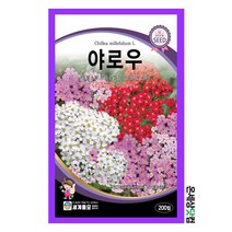 야로우 200립/ 허브씨앗 허브씨 허브키우기 베란다텃밭