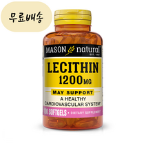 메이슨네츄럴스 레시틴 1200mg 100젤 [미국 직배송], 1개, 100개