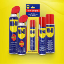 동전닦기 자동차부식수리 녹전환제 녹제거제 스텐 쇠 녹 제거 방청유, WD 40 SS(450ml)
