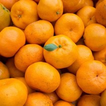 하우스감귤 3kg(대과) 제주도 고당도 노지 타이백 감귤