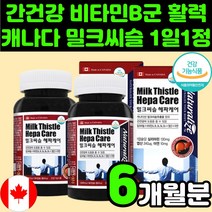 캐나다 밀크 씨슬 실리 마린 추출물 간 영양제 추천 직장인 피로 회복 MILKTHISTLE SILYMARIN 시슬 시스 티슬 씨유 50대 중년 성인 남자 건강 기능 보조제 비타민B, 90정, 2통