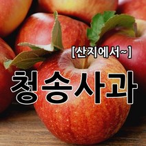 23년 햇사과 싱싱하고 달콤한 소미네 꿀사과, 13.가정용사과 10kg 소과 (44과~50과내외), 1박스