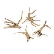 일자 잔가지 그루터기 유목 10 15 자연 나무 줄기 수족관 물고기 탱크 파충류 실린더, 10-15cm, 임의의 스타일