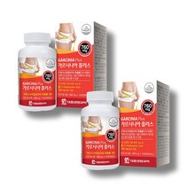 여자 남자 내장 지방 체지방 복부 지방 감소 도움 뱃살 다이어트 보조제 112정X2통 4개월분 가르시니아 플러스, 대웅생명과학 가르시니아 플러스 2통 (패치증정)