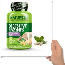 네츄렐로 Naturelo 다이제스티브 엔자임 브로멜라인 글루코아밀라아제 90베지캡슐
