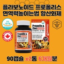 플라보노이드 PROPOLIS 성장기 아이 청소년 고등학생 중학생 건강유지 면역력 높이는법 항산화제 대용량 캐나다 직수입 직구 면역 플러스 세포 필수 영양제 알약 캡슐 정 6개월
