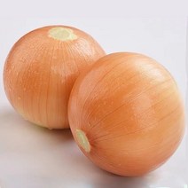 맛있는양파 20kg 강원도햇양파 국내산양파, 하