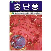 보람농자재 홍(적)단풍나무 씨앗 [100립]