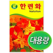 대용량 한련화 씨앗 (100g) [BEG@K1230P], 한련화 씨앗_100g