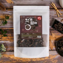 건강중심 국산 헛개나무 열매 지구자 500g, 1개입