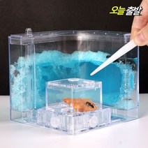 ㄱ자형 개미집 20X18cm세트 아크릴 키우기 하우스 만들기 관찰 키트 곤충 사육장 여왕개미, 개미집관찰-ㄱ자형