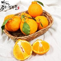 [마캐는젊은농부들]영파머스몰 제주 서귀포 산지직송 한라봉(가정용) 고당도 5kg 10kg 제철과일, 한라봉 (가정용 소/중과) 10kg.