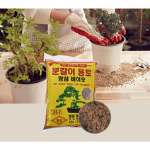 국산 땅심바이오 용토 분갈이 35L 텃밭용 흙 화분 흙갈이, 땅심35L용토, 1개