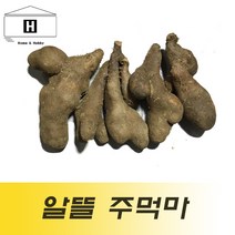 국산 주먹마 파지마 1kg 생마 알뜰마 마쥬스 마전 마요구르트 마우유, 1개