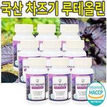 프리미엄 고농축 국내산 차즈기 차조기 차지기 차주기 차자기 붉은깻잎 보라색깻잎 루테올린 루테인 자소엽 자엽소 차 잎 캡슐 환 정 분말 가루 파우더 추출물 효능 효과 추천 9통