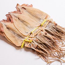 조선의꽁치 동해 건조 마른 오징어 20마리 한축, 소 20마리 (800g 내외), 1개