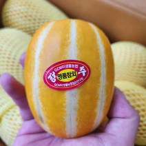 욜케이유 성주 참외 꿀 못난이 꼬마 가정용 맛있는, 가정용 중과 14~23과 5kg 개별망, 1개