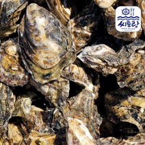 경남 통영 하프쉘(반만 깐굴) 30미 1단 1~2인분, 단품
