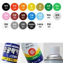 철재 목재 도색용 스프레이 컬러 락카 20색 나무 홈인테리어 철제선반 플라스틱 리폼, 오공락카 무광투명, 1개