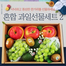 프리미엄 추석 과일선물세트 2호 샤인머스켓 사과 배 키위 부모님 명절선물 고급혼합과일