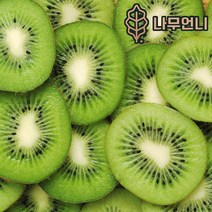 키위나무 키위 정원수 나무언니, 그린키위 헤이워드(접목2년생)