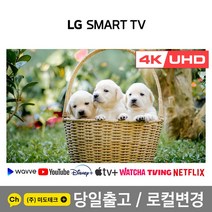 LG 49인치 4K 스마트 UHD TV 49UM7300 울트라HD, 0. 매장방문수령