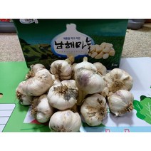 남해마늘 남해햇마늘, 1box, 5kg 대 95~105개