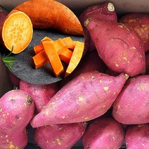 [프레시러시] 당근 호박고구마 풍원미 2kg 5kg 10kg 촉촉한 부드러운 고구마, 특, 1개