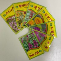 루아데코 꽃씨 코스모스 봉선화 해바라기 꽃 씨앗 키우기 어린이집 유치원 꽃키우기, 금잔화