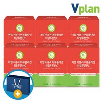 브이플랜 어썸 먹는 저분자 어류콜라겐 히알루론산 C 6박스 쇼핑백, 상세설명 참조, 없음