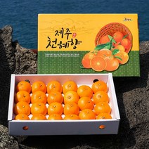 인하네 제주 천혜향 3kg 5kg 과일 선물 세트, 1박스, 천혜향_5kg_선물용(대향)