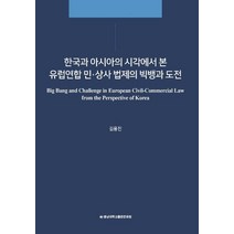 한국과 아시아의 시각에서 본 유럽연합 민·상사 법제의 빅뱅과 도전, 충남대학교출판문화원, 김용진 저