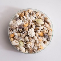 [천삼백케이] [엠디자인] 미니 소라껍질 혼합(약 300개), 단품