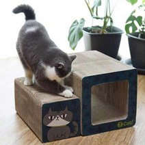아이캣 3D 터널 스크래처 4029, 혼합 색상, 1개