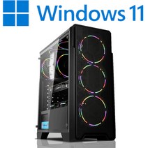 [왕가PC]WGCP 윈도우11 탑재 데스크탑 3D게임용 배그 풀옵션 게이밍 조립컴퓨터 롤 오버워치2 로스트아크 국민옵션부터 풀옵션 조립PC, 04. HDD 1TB 추가, 게이밍 05