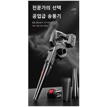 가정용 먼지 제거기 블로어 다기능 고출력 리튬 송풍기 충전식 소형 차량용 먼지 제거기, 헤어 드라이어*2, 전통적인, 1개