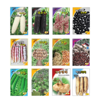 백찰 흑찰 얼룩찰 옥수수 검정 얼룩 강낭콩 서리태 흑 땅콩 스파클 완두콩 녹두 히카마 얌빈 더덕 씨앗 종자, 6.범호강낭콩 30g, 1개