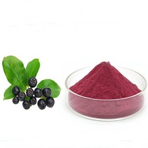 아로니아농축분말 100g 샘플, 단품, 단품