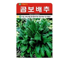 SN월드 씨앗 민속특수씨앗 약초 곰취 냉이 와송 삼채 더덕 도라지 당귀 잔디, 곰보배추