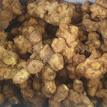 향이좋은 토종 햇 생강 1kg