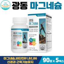마그네슘 비타민B군 광동 뼈에좋은 식약처인증 갱년기 중년 뼈건강 마그내슘, 5박스, 광동마그네슘 3개월90정