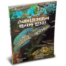 아쿠아라이프 2023년 7월호 (스네이크헤드에 역사가 있다!)