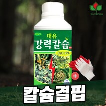 흙닷컴 대유 강력칼슘 500ml 칼슘결핍예방 회복 칼슘, 1개