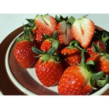 산지직송 설향딸기 30구 750g이상 제철, 1.5Kg