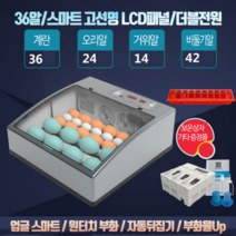 병아리 부화기 미니 메추리알 계란 자동 전란 온도조절 유정란 키우기 조류 물공급기, 프리미엄 병아리 부화기 36구