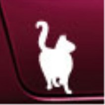 자동차 포인트 스티커 차량용 데칼 본내트 운전석문 얼룩보완 뒷타이어옆 HG 컬러감좋은 MQ4 긁힌흠집 아반떼HD 스포티지NQ5 푸조 남편선물 포터2 k7, 블랙, B타입